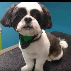 Meet your Posher, Kellie